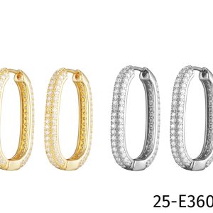 25-E36055