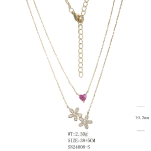25-N24008